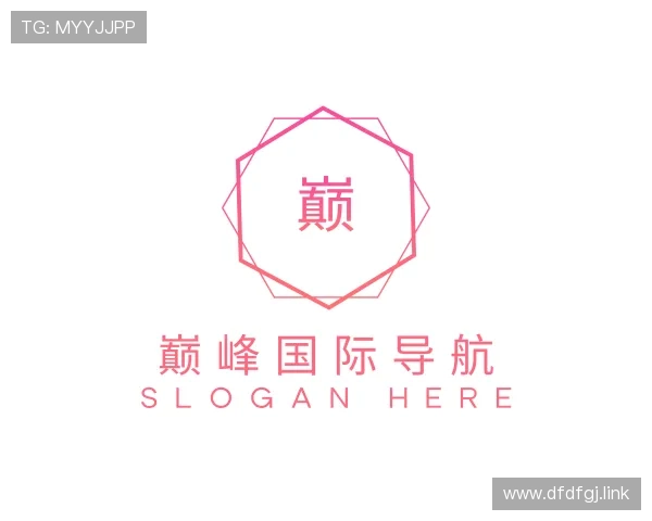 领悟巅峰国际导航